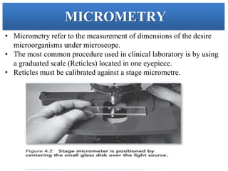 Microscope