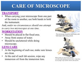 Microscope