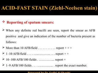Microscope examination.pptx............... | PPTX