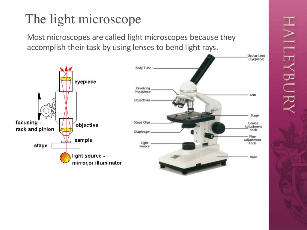 Microscope introduction