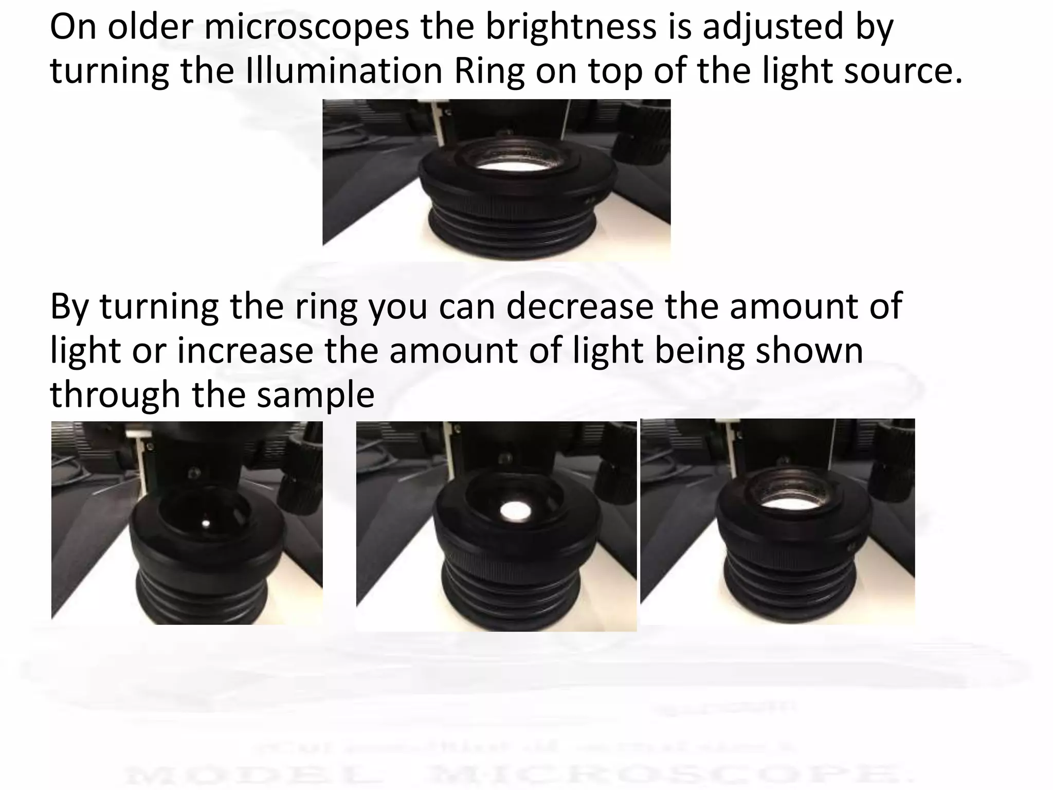 On older microscopes the brightness is adjusted by
turning the Illumination Ring on top of the light source.
By turning the ring you can decrease the amount of
light or increase the amount of light being shown
through the sample
 
