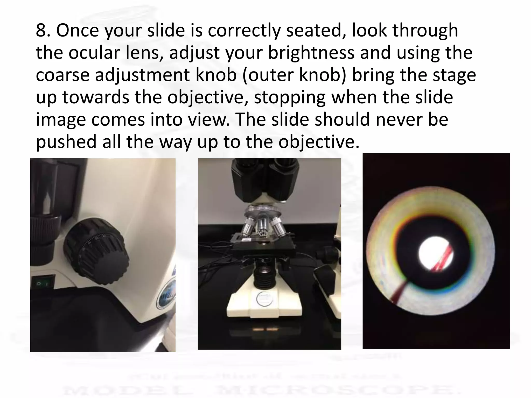8. Once your slide is correctly seated, look through
the ocular lens, adjust your brightness and using the
coarse adjustment knob (outer knob) bring the stage
up towards the objective, stopping when the slide
image comes into view. The slide should never be
pushed all the way up to the objective.
 