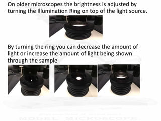 On older microscopes the brightness is adjusted by
turning the Illumination Ring on top of the light source.
By turning the ring you can decrease the amount of
light or increase the amount of light being shown
through the sample
 