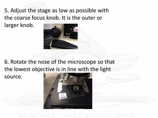 5. Adjust the stage as low as possible with
the coarse focus knob. It is the outer or
larger knob.
6. Rotate the nose of the microscope so that
the lowest objective is in line with the light
source.
 