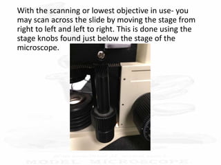 With the scanning or lowest objective in use- you
may scan across the slide by moving the stage from
right to left and left to right. This is done using the
stage knobs found just below the stage of the
microscope.
 