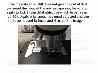 If the magnification still does not give the detail that
you need the nose of the microscope may be rotated
again to lock in the third objective which in our case
is a 40X. Again brightness may need adjusted and the
fine focus is used to focus and sharpen the image.
 