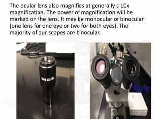 The ocular lens also magnifies at generally a 10x
magnification. The power of magnification will be
marked on the lens. It may be monocular or binocular
(one lens for one eye or two for both eyes). The
majority of our scopes are binocular.
 