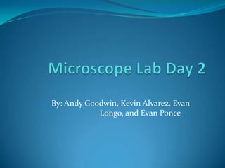 Microscope Lab Day 2  By: Andy Goodwin, Kevin Alvarez, Evan Longo, and Evan Ponce	 