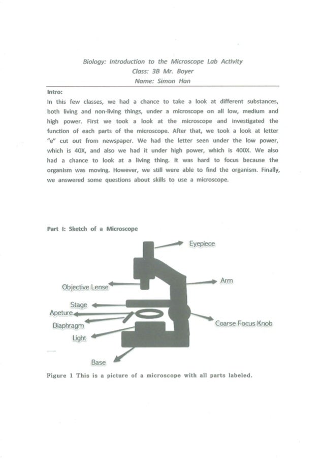 Lab introduction to microscope