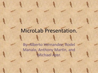 MicroLab Presentation. By: Alberto Hernandez, Rodel Manalo, Anthony Martin, and Michael Azer. 