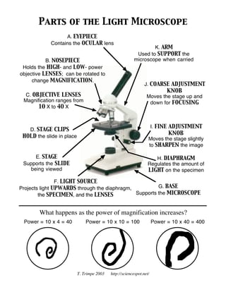 Color the microscope parts worksheet answers