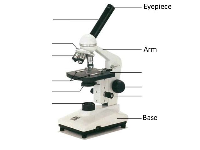 Microscope parts and functions