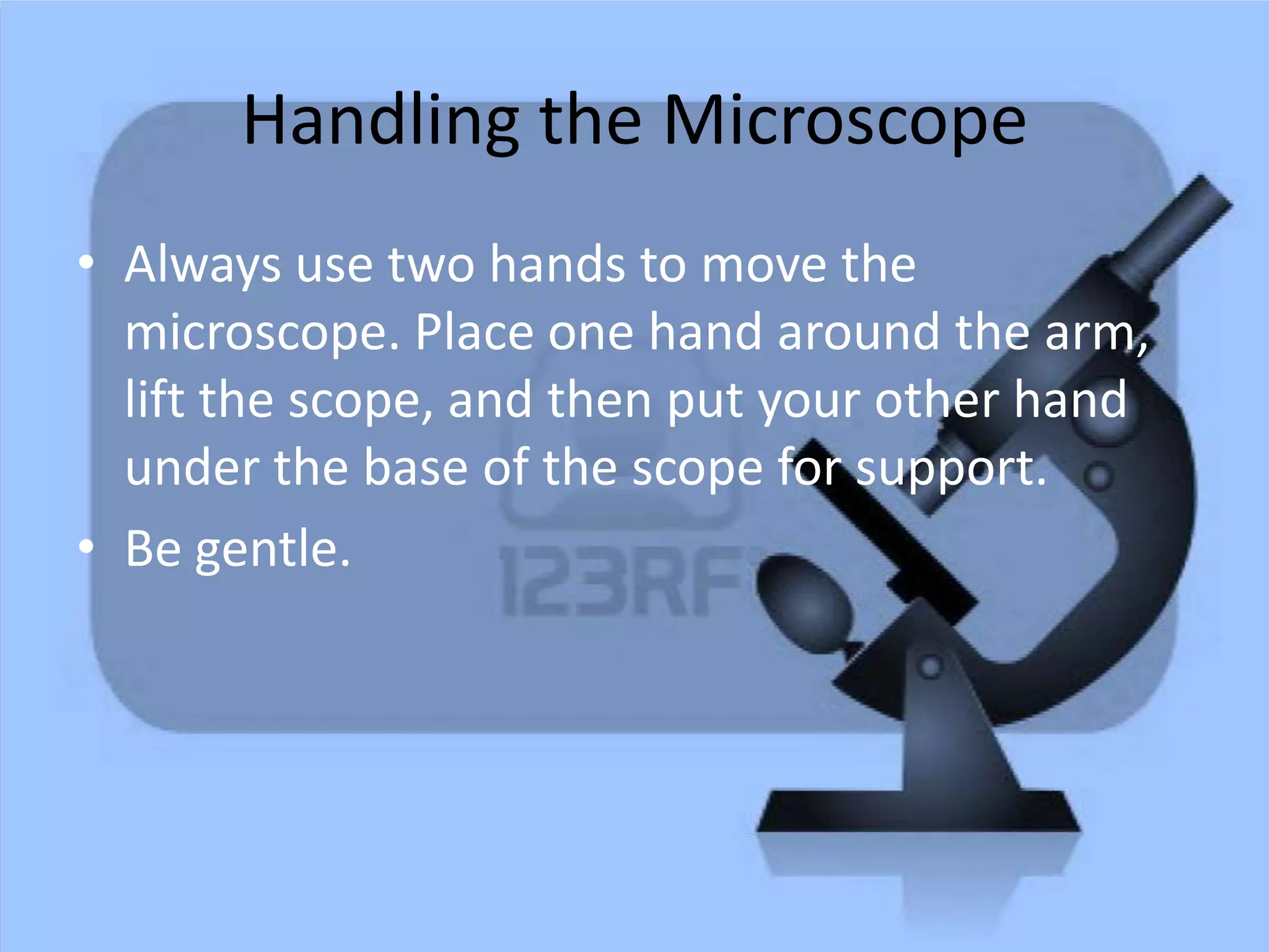 Handling the Microscope
• Always use two hands to move the
microscope. Place one hand around the arm,
lift the scope, and then put your other hand
under the base of the scope for support.
• Be gentle.
 