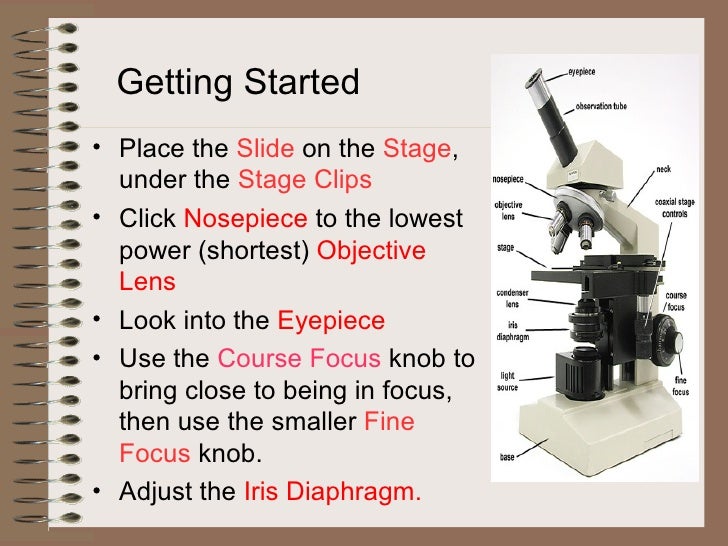 Microscope powerpoint