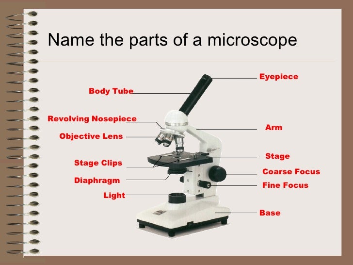 Microscope powerpoint