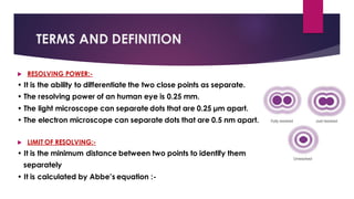 Microscope | PDF