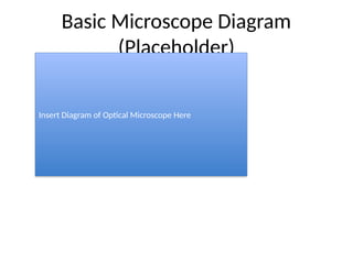 Basic Microscope Diagram
(Placeholder)
Insert Diagram of Optical Microscope Here
 