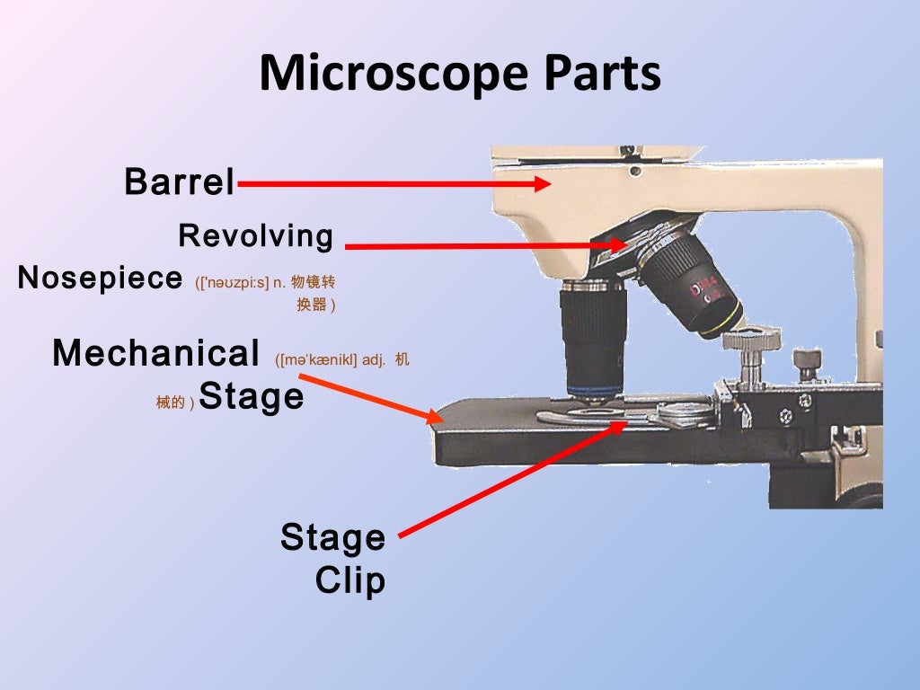 Microscope review