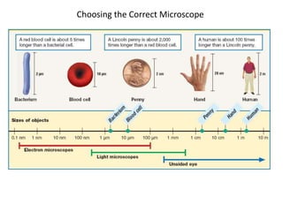 Choosing the Correct Microscope
 