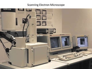 Scanning Electron Microscope
 