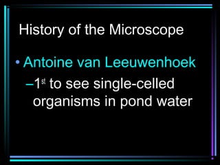 History of the Microscope
• Antoine van Leeuwenhoek
–1st
to see single-celled
organisms in pond water
 