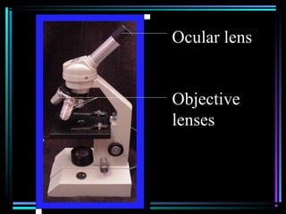 Ocular lens
Objective
lenses
 