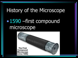 Microscopes | PPT