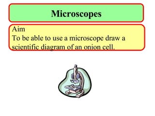 Microscopes Aim To be able to use a microscope draw a  scientific diagram of an onion cell. 