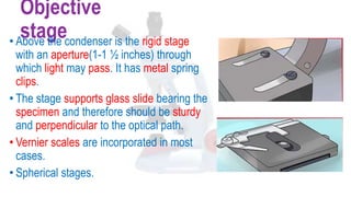 Objective
stage• Above the condenser is the rigid stage
with an aperture(1-1 ½ inches) through
which light may pass. It has metal spring
clips.
• The stage supports glass slide bearing the
specimen and therefore should be sturdy
and perpendicular to the optical path.
• Vernier scales are incorporated in most
cases.
• Spherical stages.
 