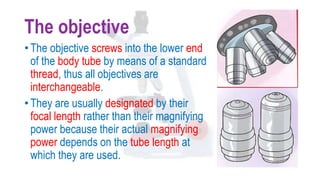 The objective
• The objective screws into the lower end
of the body tube by means of a standard
thread, thus all objectives are
interchangeable.
• They are usually designated by their
focal length rather than their magnifying
power because their actual magnifying
power depends on the tube length at
which they are used.
 