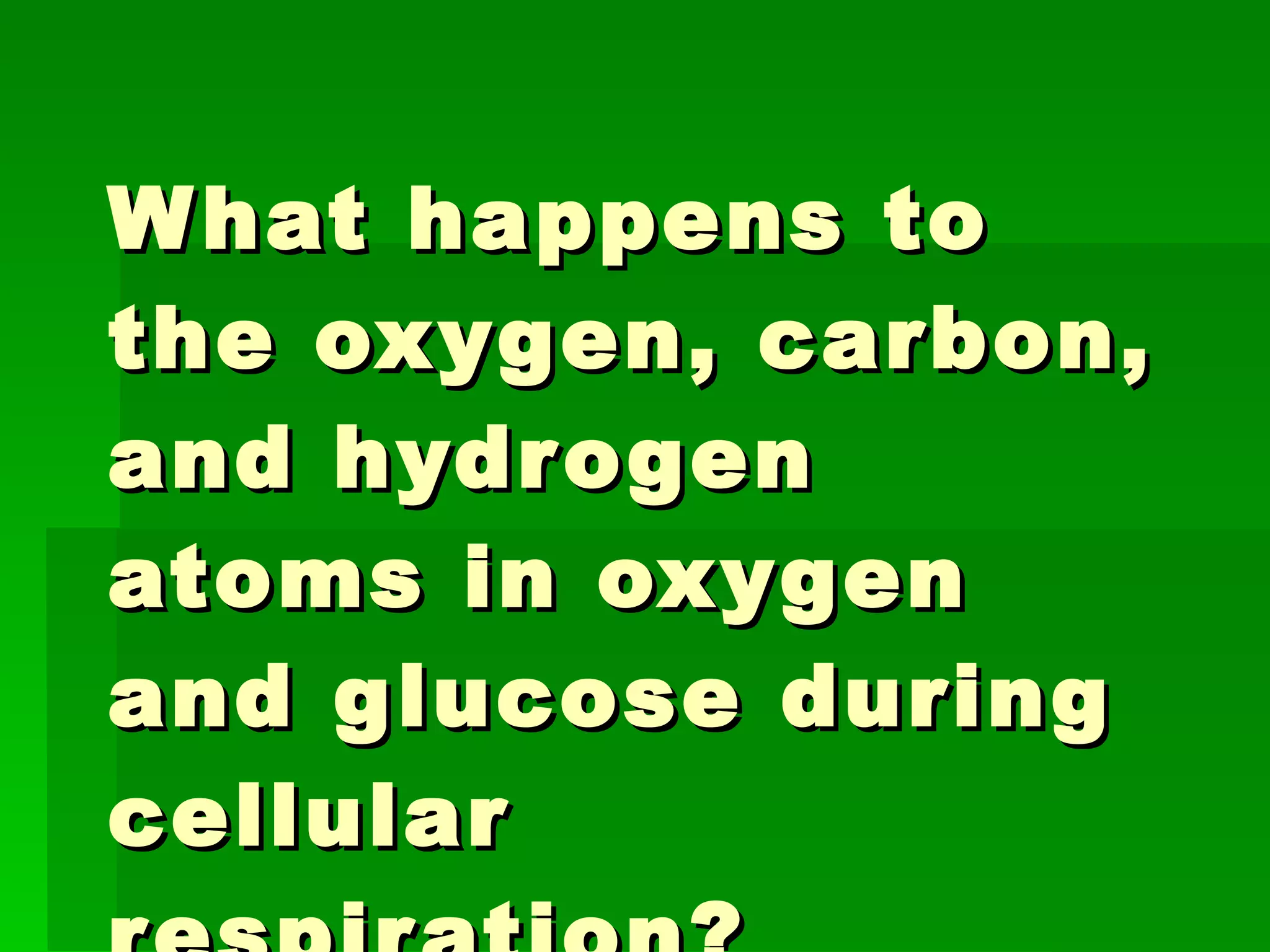 Microscopes And Cellular Respiration Review | PPT