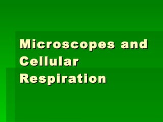 Microscopes and Cellular Respiration 