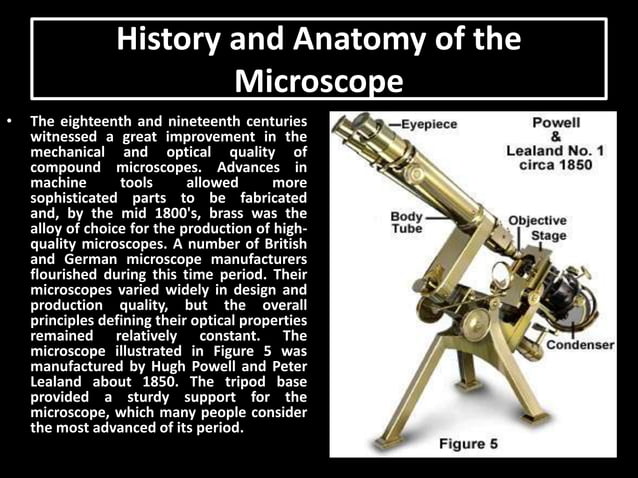 Microscopes and microscopy | PPT