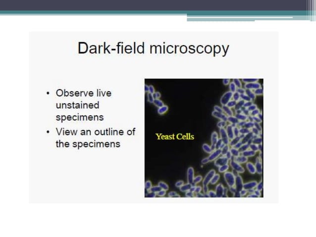 Microscopes & staining by DR C P PRINCE | PPT