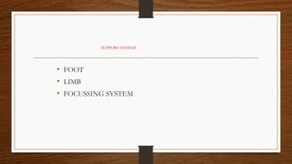 SUPPORT SYSTEM
• FOOT
• LIMB
• FOCUSSING SYSTEM
 
