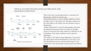 There have been varying approaches to maximize the
illumination within the microscope.
Critical illumination is used in simple equipment where
the light source is focused by the substage condenser in
the same plane as the object, but this produces uneven
illumination.
Köhler illumination is used for photography and more
specialized microscopes where an image of the light
source is focused by the lamp collector or field lens in the
focal plane of the stage condenser on the aperture
diaphragm.
The image of the field or lamp diaphragm is focused in
the object plane and the illumination is even (Fig. 3.13).
The illumination must be centered with respect to the
optical axis of the microscope to prevent poor resolution
CRITICAL ILLUMINATION(NELSONS) ILLUMINATION AND
KOHLERS ILLUMINATION
 