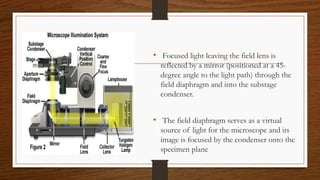 • Focused light leaving the field lens is
reflected by a mirror (positioned at a 45-
degree angle to the light path) through the
field diaphragm and into the substage
condenser.
• The field diaphragm serves as a virtual
source of light for the microscope and its
image is focused by the condenser onto the
specimen plane
 