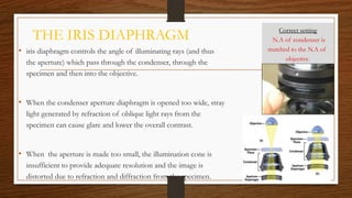 THE IRIS DIAPHRAGM
• iris diaphragm controls the angle of illuminating rays (and thus
the aperture) which pass through the condenser, through the
specimen and then into the objective.
• When the condenser aperture diaphragm is opened too wide, stray
light generated by refraction of oblique light rays from the
specimen can cause glare and lower the overall contrast.
• When the aperture is made too small, the illumination cone is
insufficient to provide adequate resolution and the image is
distorted due to refraction and diffraction from the specimen.
Correct setting
N.A of condenser is
matched to the N.A of
objective
 