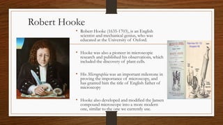 Robert Hooke
• Robert Hooke (1635-1703), is an English
scientist and mechanical genius, who was
educated at the University of Oxford.
• Hooke was also a pioneer in microscopic
research and published his observations, which
included the discovery of plant cells.
• His Micrographia was an important milestone in
proving the importance of microscopy, and
has granted him the title of English father of
microscopy
• Hooke also developed and modified the Jansen
compound microscope into a more modern
one, similar to the one we currently use.
 
