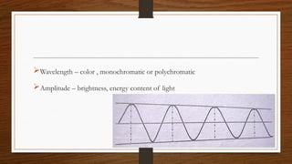 Wavelength – color , monochromatic or polychromatic
Amplitude – brightness, energy content of light
 