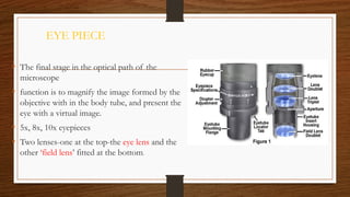 EYE PIECE
• The final stage in the optical path of the
microscope
• function is to magnify the image formed by the
objective with in the body tube, and present the
eye with a virtual image.
• 5x, 8x, 10x eyepieces
• Two lenses-one at the top-the eye lens and the
other ‘field lens’ fitted at the bottom.
 