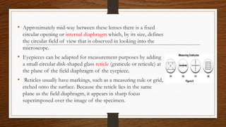 • Approximately mid-way between these lenses there is a fixed
circular opening or internal diaphragm which, by its size, defines
the circular field of view that is observed in looking into the
microscope.
• Eyepieces can be adapted for measurement purposes by adding
a small circular disk-shaped glass reticle (graticule or reticule) at
the plane of the field diaphragm of the eyepiece.
• Reticles usually have markings, such as a measuring rule or grid,
etched onto the surface. Because the reticle lies in the same
plane as the field diaphragm, it appears in sharp focus
superimposed over the image of the specimen.
 
