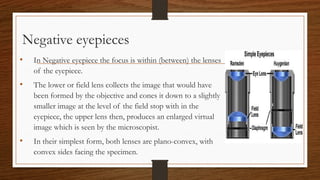 Negative eyepieces
• In Negative eyepiece the focus is within (between) the lenses
of the eyepiece.
• The lower or field lens collects the image that would have
been formed by the objective and cones it down to a slightly
smaller image at the level of the field stop with in the
eyepiece, the upper lens then, produces an enlarged virtual
image which is seen by the microscopist.
• In their simplest form, both lenses are plano-convex, with
convex sides facing the specimen.
 