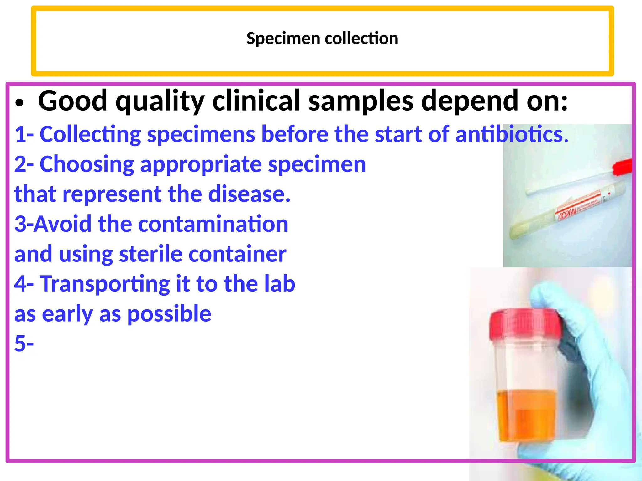 microscope & staining methods for bacterial visualization | PPTX
