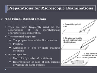 Microscope | PPTX