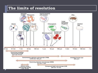 Optical Microscope Resolution Limit Microscope | PPTX