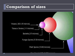 Microscope Sizes Microscope | PPTX