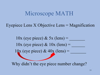 Microscope MATH
Eyepiece Lens X Objective Lens = Magnification

    10x (eye piece) & 5x (lens) = _______
    10x (eye piece) & 10x (lens) = ______
    10x (eye piece) & 40x (lens) = _______

  Why didn’t the eye piece number change?
                                             11
 