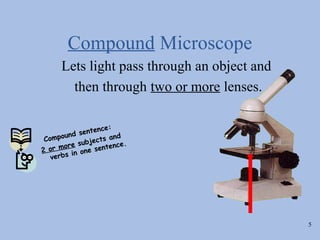 Compound Microscope
     Lets light pass through an object and
       then through two or more lenses.

                  e:
       und sentenc
 Compo              and
         e subjects    e.
2 o r mor one sentenc
         in
   verbs




                                             5
 