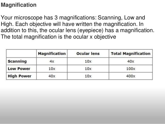 parts of essay
